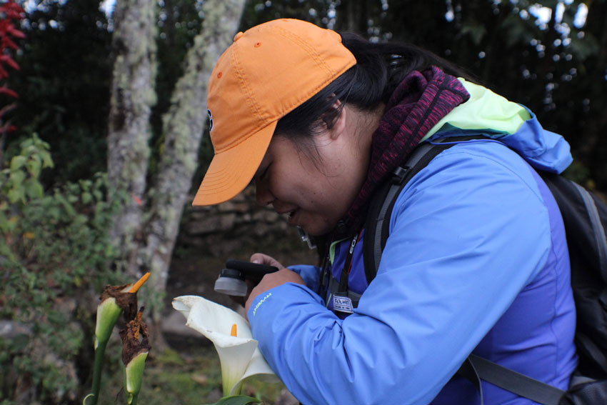 student studying a flower in the Amazon rainforest