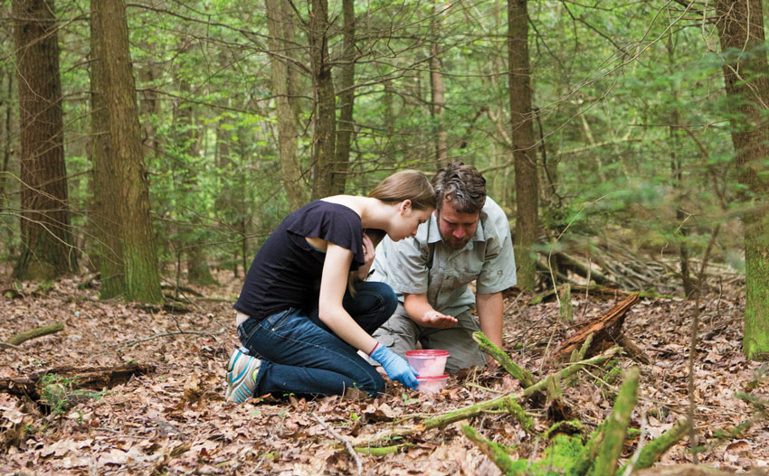 Professor Kerney conducting research outside with a student