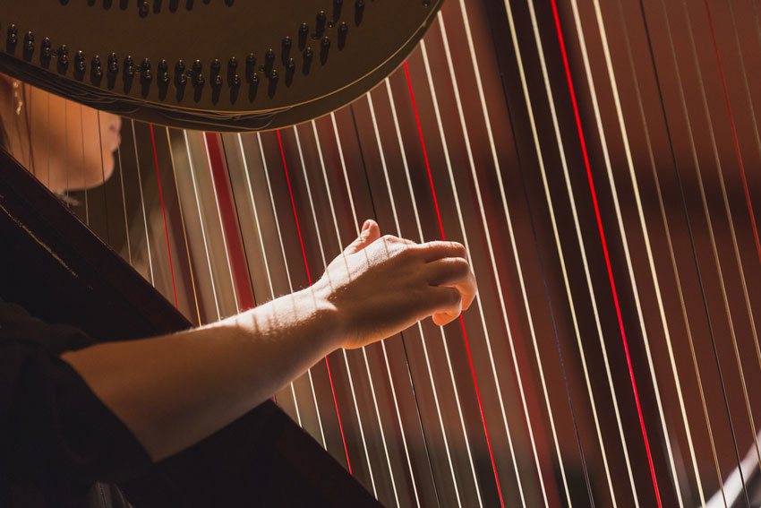 Sunderman student playing harp