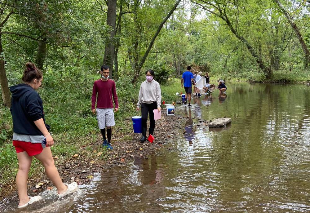 Field research for Introduction to Ecology and Evolution course