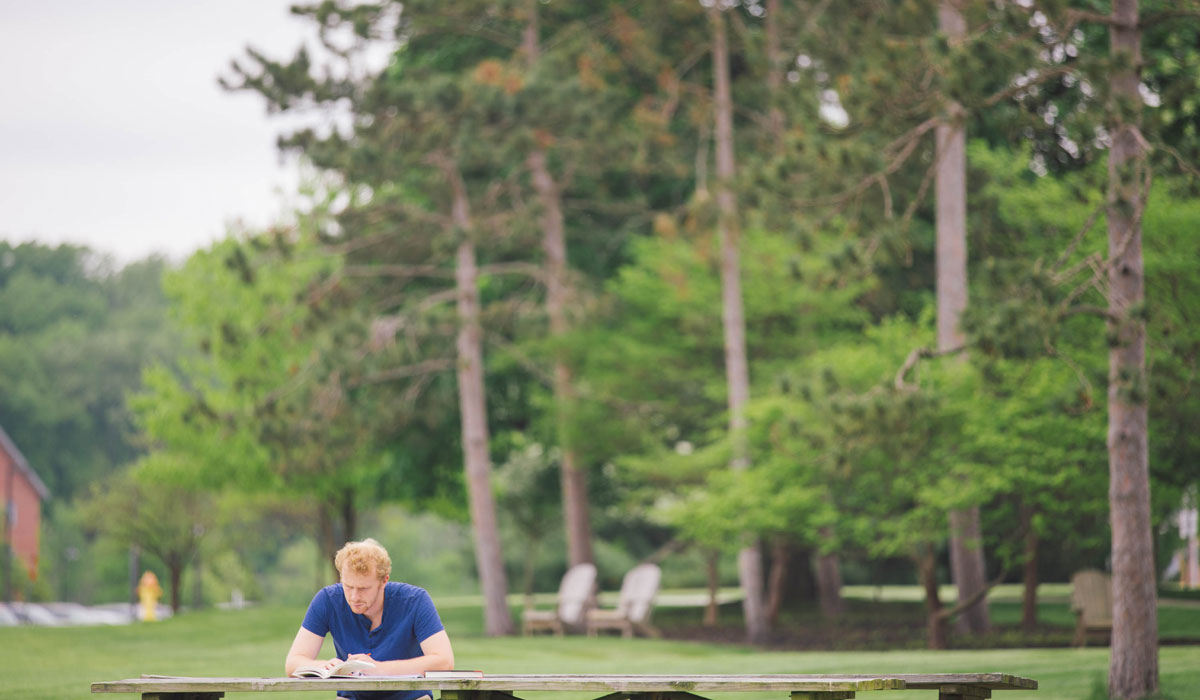 Student studying outside near the woods