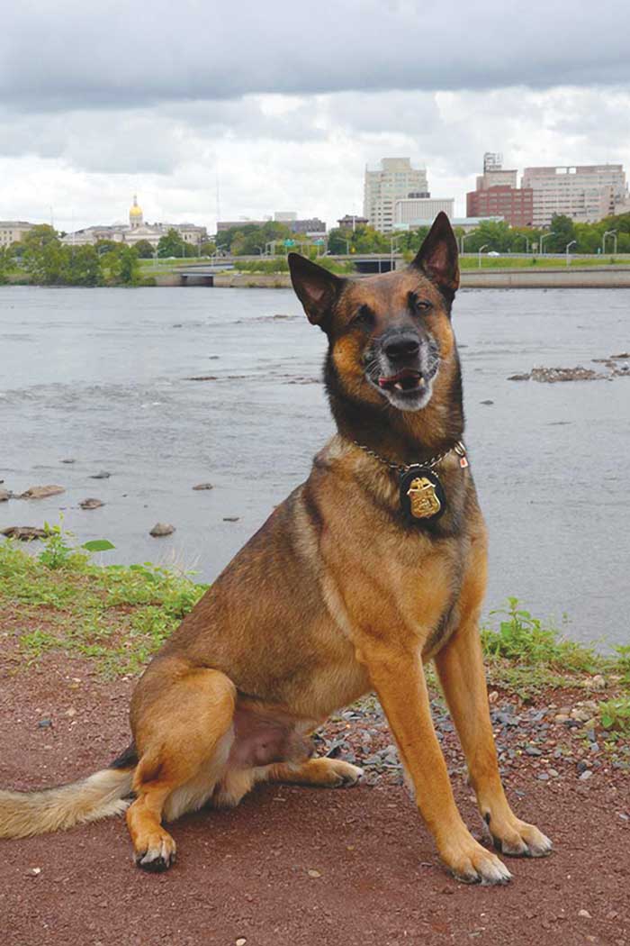 Photo of an FBI canine named Hoover with a badge around its neck in front of a river
