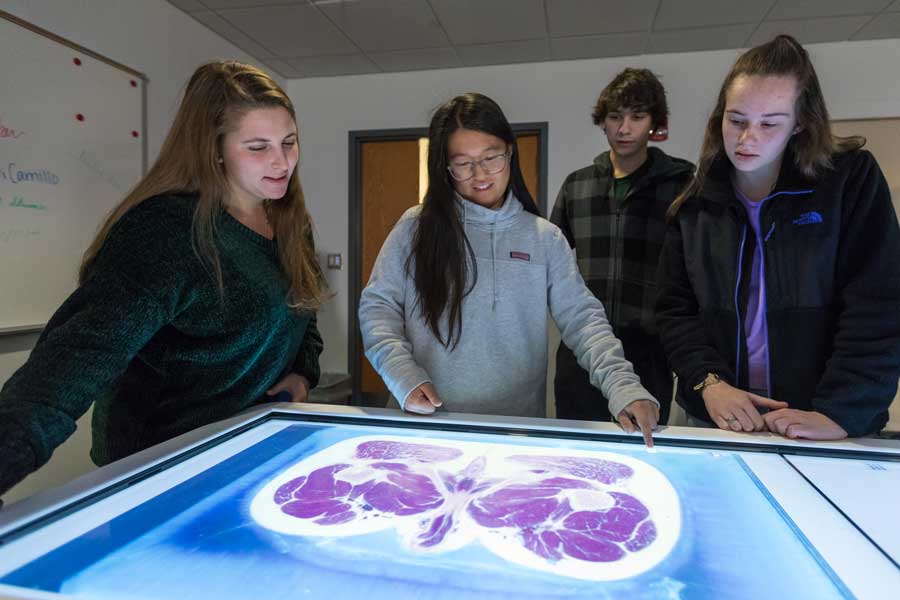 Students standing in front of an Anatomage Table