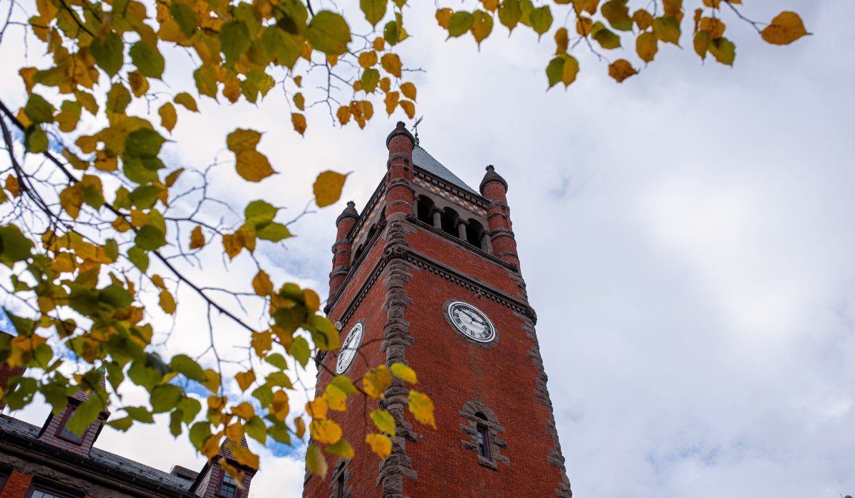 Fall Scenics