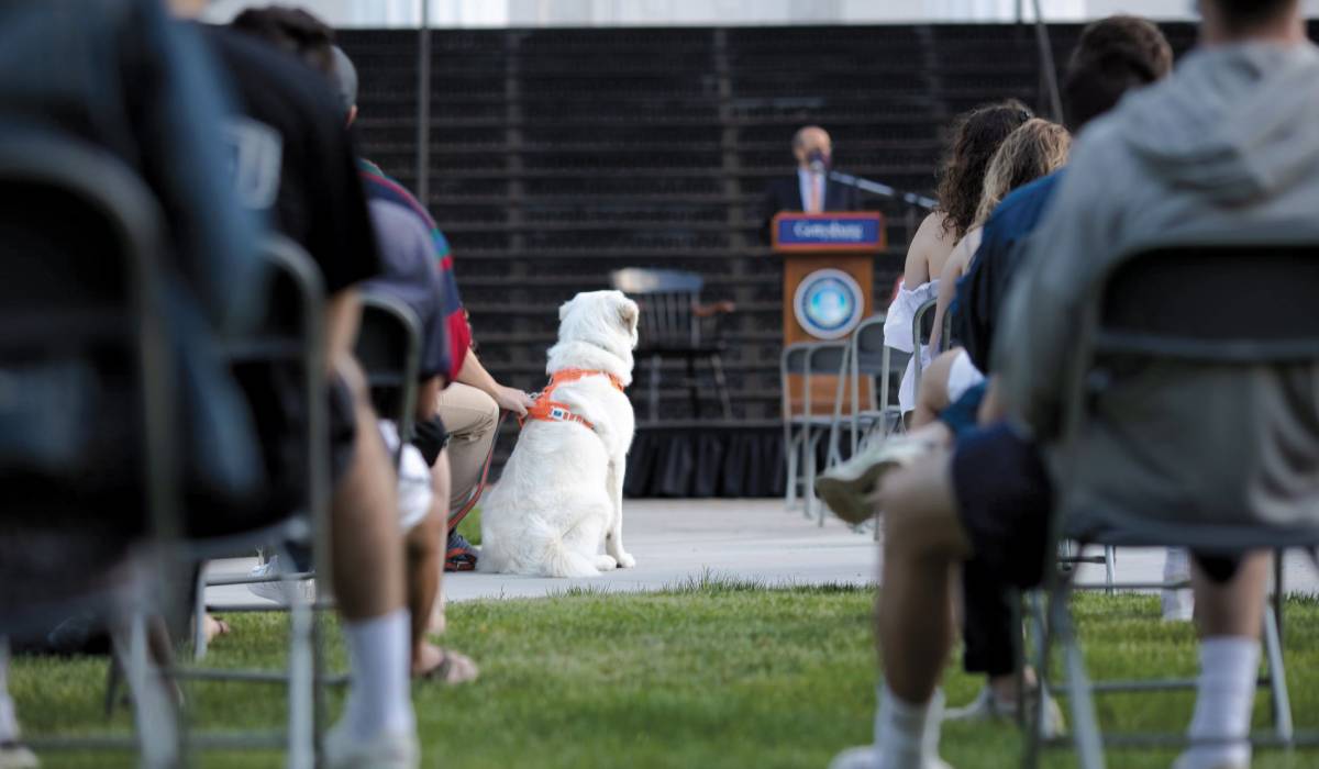 Image of Chiquita, a Great Pyrenees and Maremma mix, with Daniel Ziegler ’21