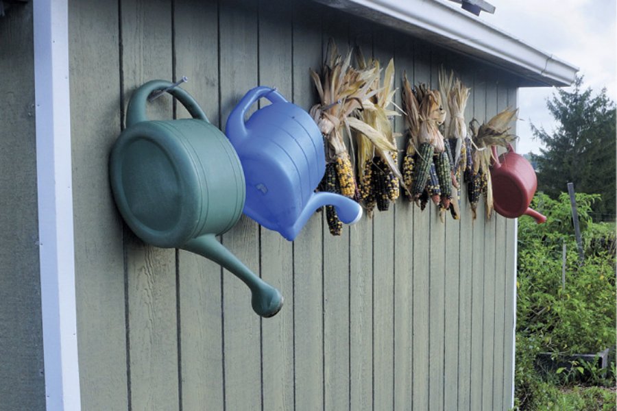 Shed with watering cans and corn hanging from the side