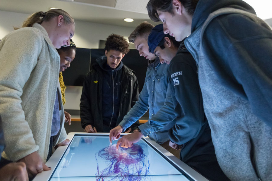 Students studying anatomage tables in a lab