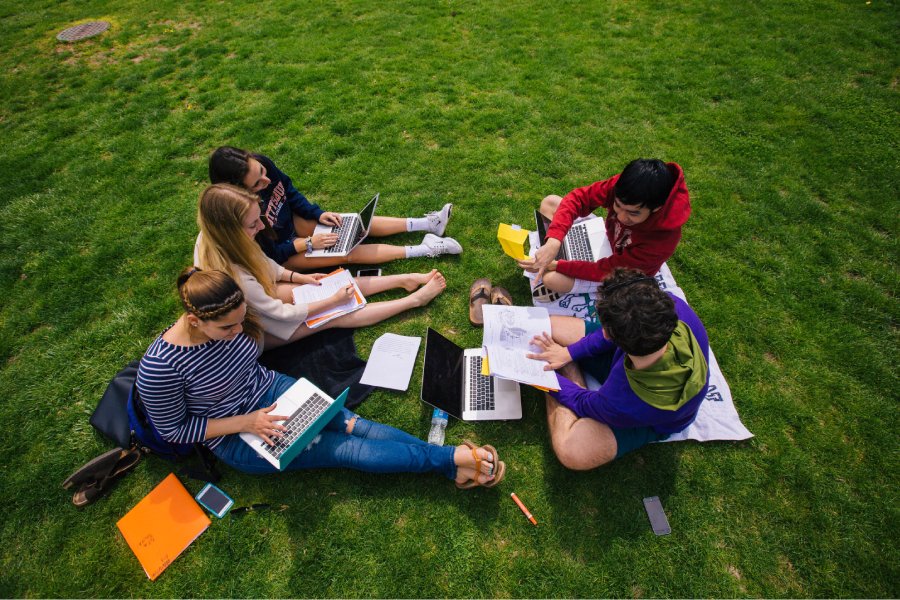 Students studying at the field