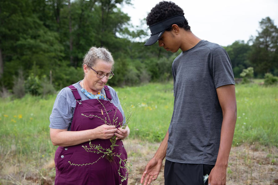 X-sig students outdoors inspecting plant life