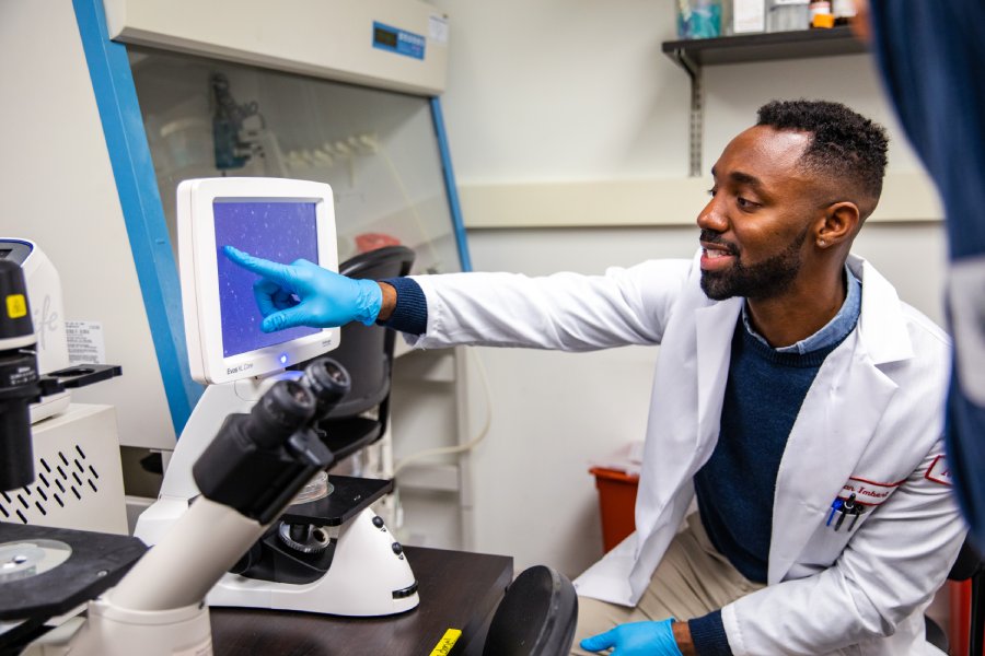 Fergan Imbert examines a microglia cell