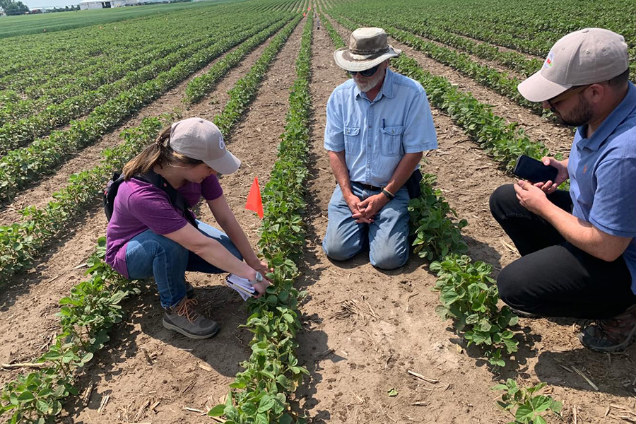 Paul Di Salvo ’13 examines soy