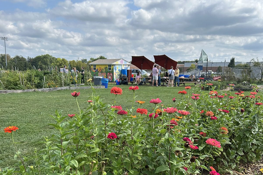 The Center for Public Service held an alumni reception at Painted Turtle Farm.