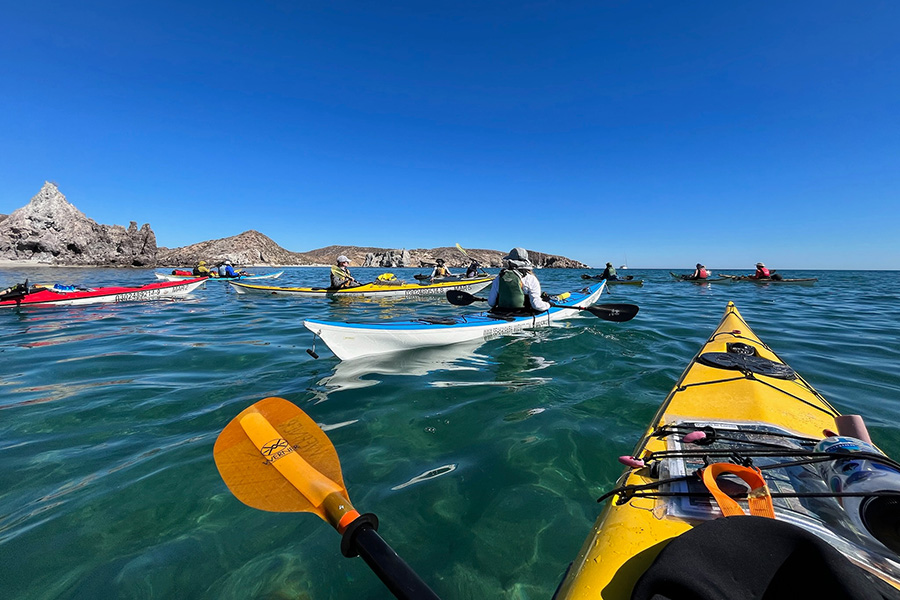 Students sea-kayaking