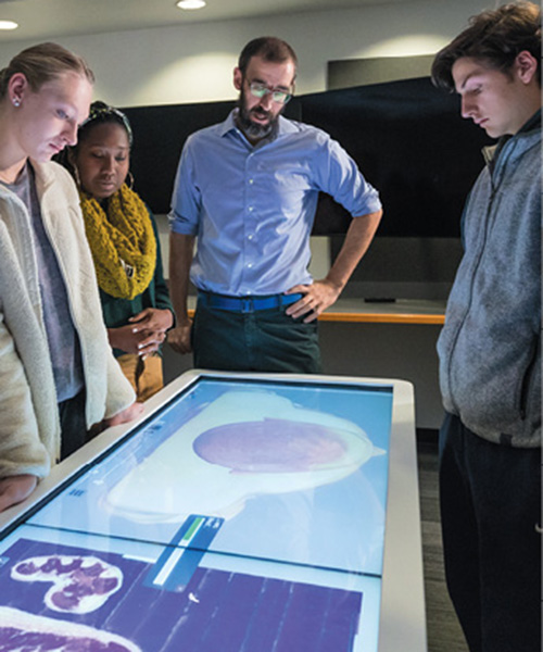 Health Sciences Prof. Josef Brandauer and students