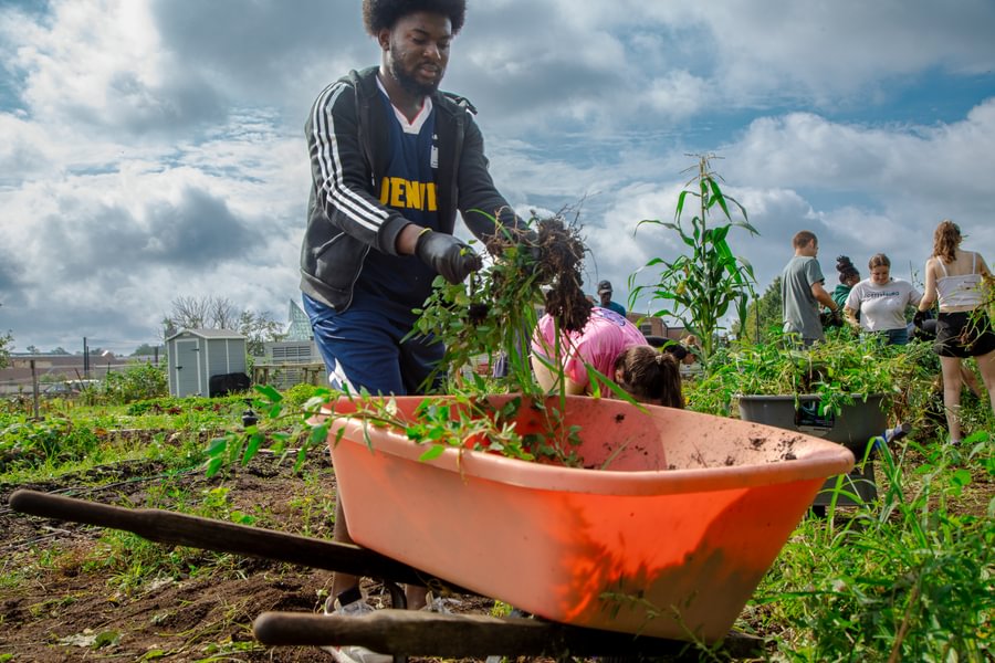 Student helps with garden cleanup at Painted Turtle Farm during GIV Day 2023.