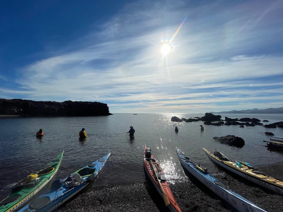 The GLC organized a sea kayaking trip to the Sea of Cortez