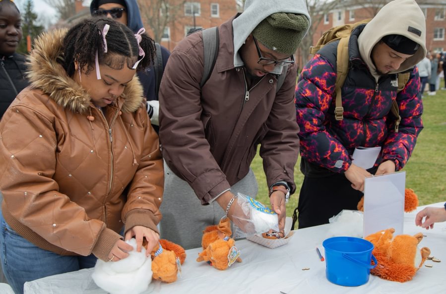 Students build plush squirrels during the festival