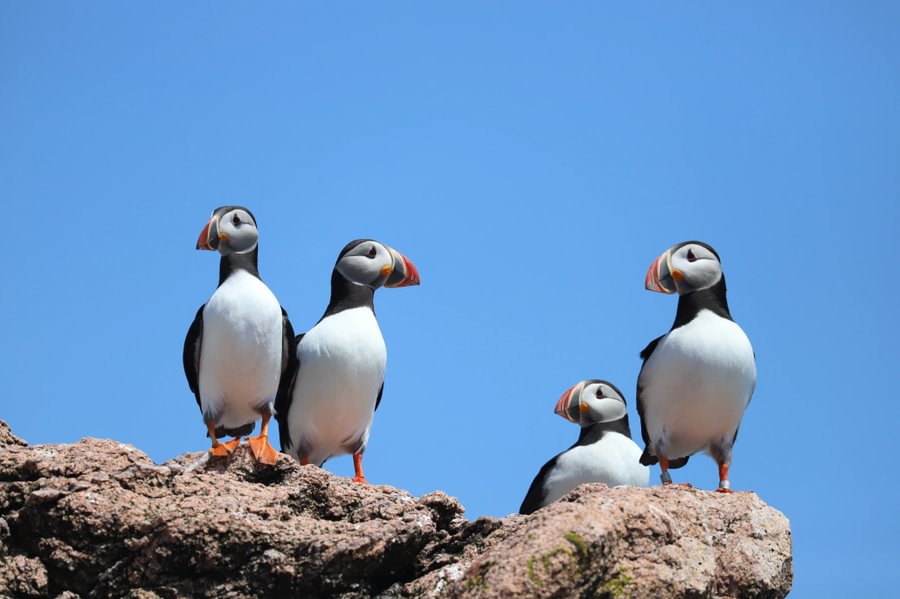 Nath’s photography has received acclaim in the annual Gettysburg Art in Science Competition.