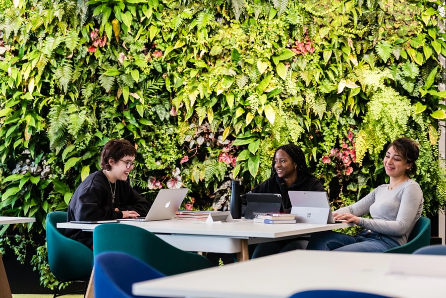  A group of students study together next to the living wall in Lancaster University’s library.