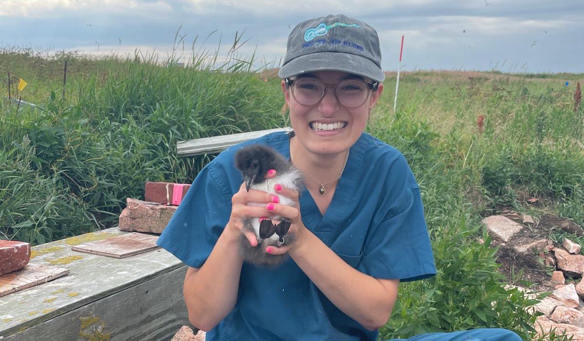  Nath spent the summer of 2024 on Petit Manan Island, Maine, studying puffins alongside Prof. Gownaris.