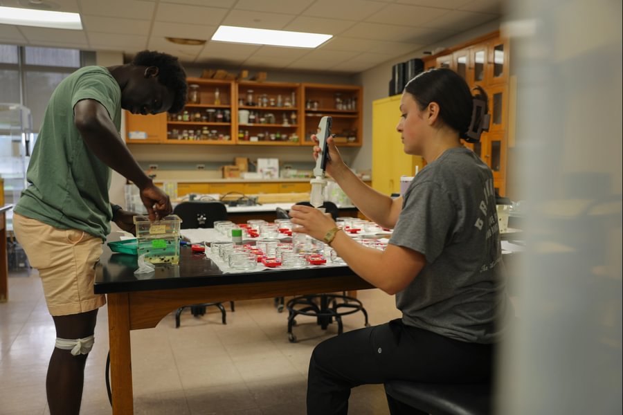 Students perform a lab experiment with Prof. Peter Fong.
