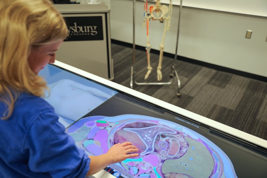 Paige McKim ’27 uses the anatomage table to study the human body in the Science Center.