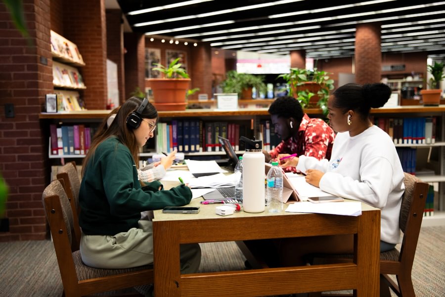  Students studying in Musselman Library.