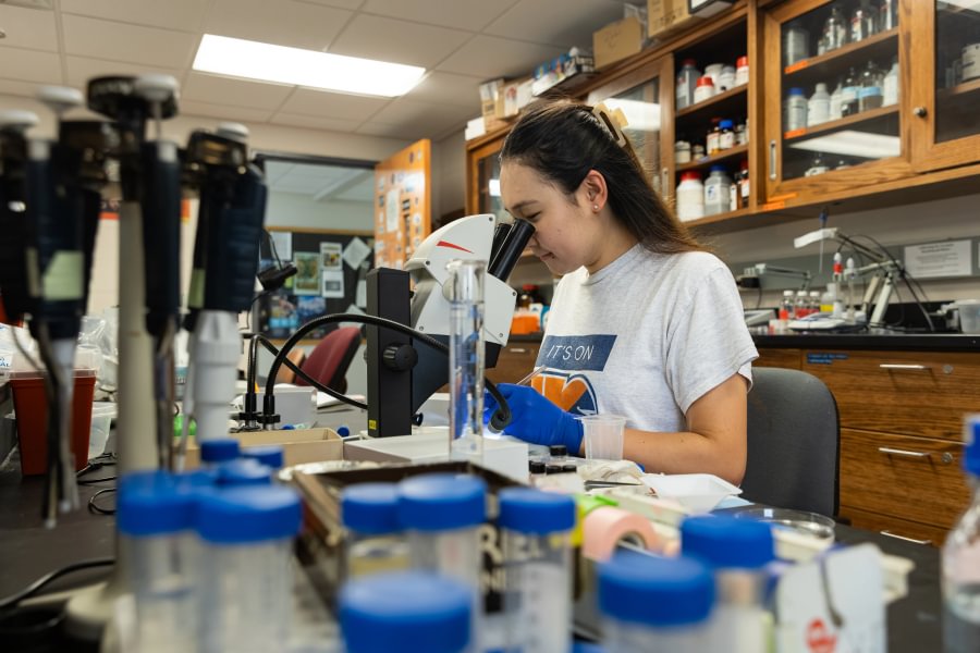 Craig ’66 and Susan Disher support science and East Asian studies scholarships.