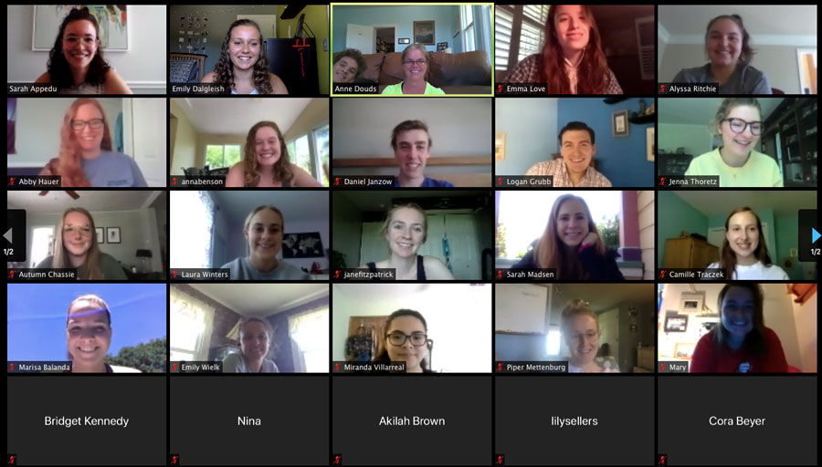 Screenshot of Prof. Douds's zoom meeting