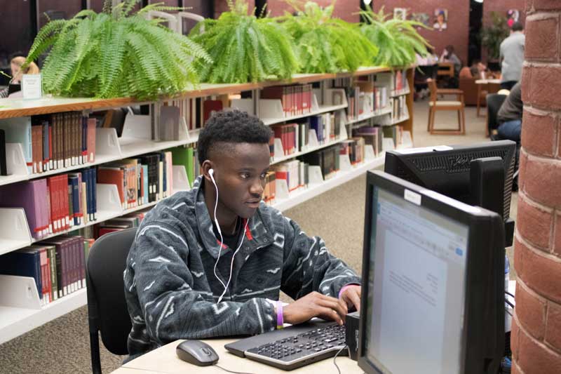 Male student using a desktop computer in the library
