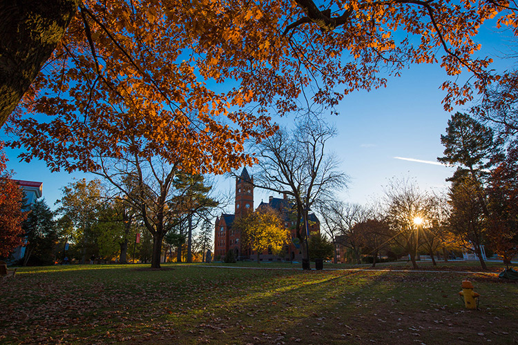 Fall on campus