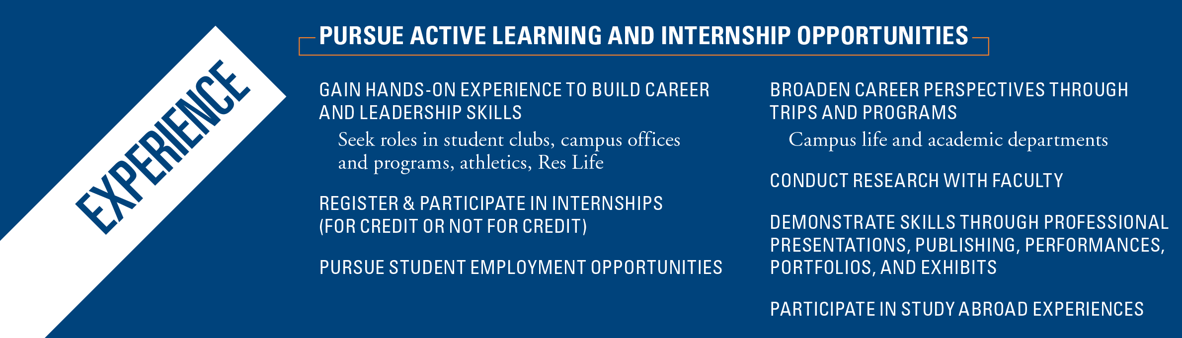 Experience: pursue active learning and internship opportunities