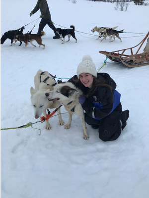 Megan Zierold dog sled