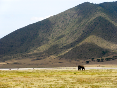 Lauren Trotter 2, Elephantine, Nairobi, Kenya, S'11
