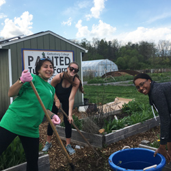 Painted Turtle Farm