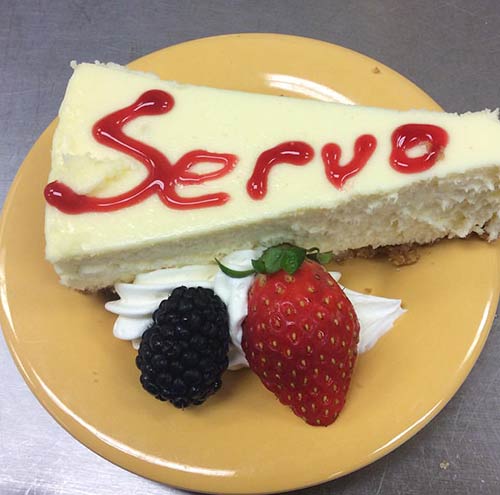 Servo