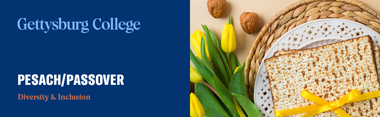 Pesach Banner