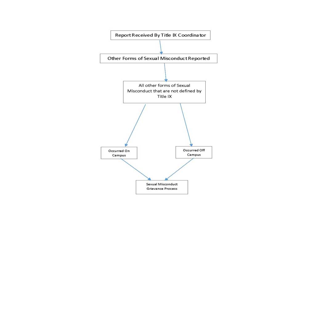 Other Forms of Sexual Misconduct Flow Chart