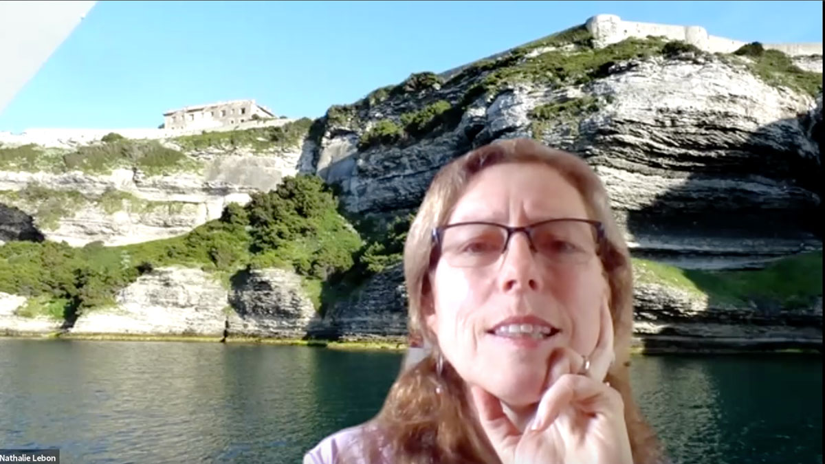 Women, Gender, and Sexuality Studies professorin a video chat