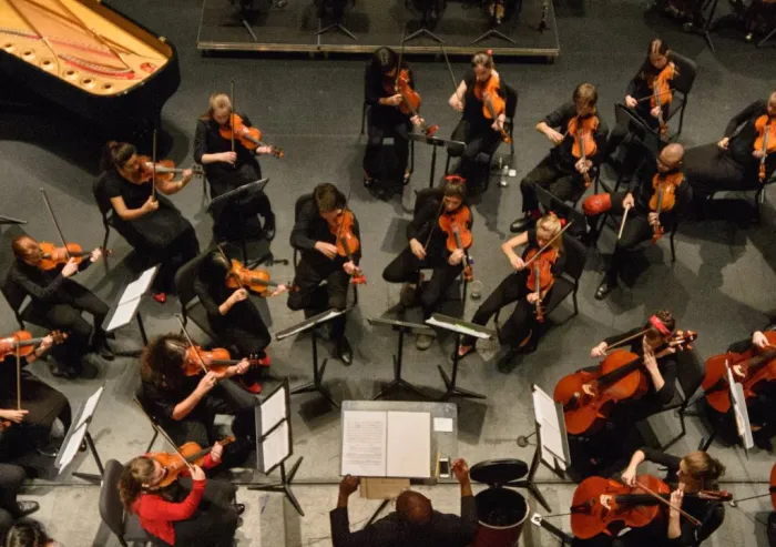 Orchestra performing with strings, woodwinds, brass, and percussion