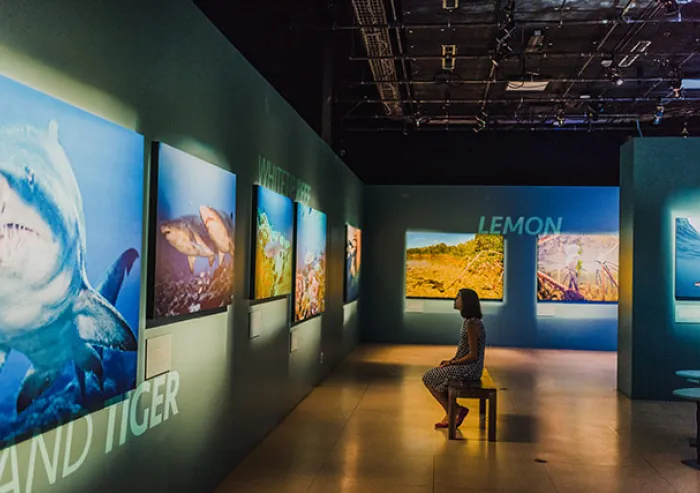 Visitor views a colorful digital art exhibition.