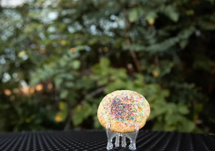 Sugar / Snickerdoodle