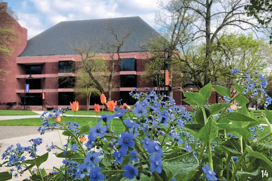 blue and orange flowers in foreground with Musselman Library in background