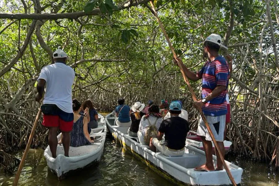 Sherri McCusker ’03 explores the marshes of La Boquilla, Colombia