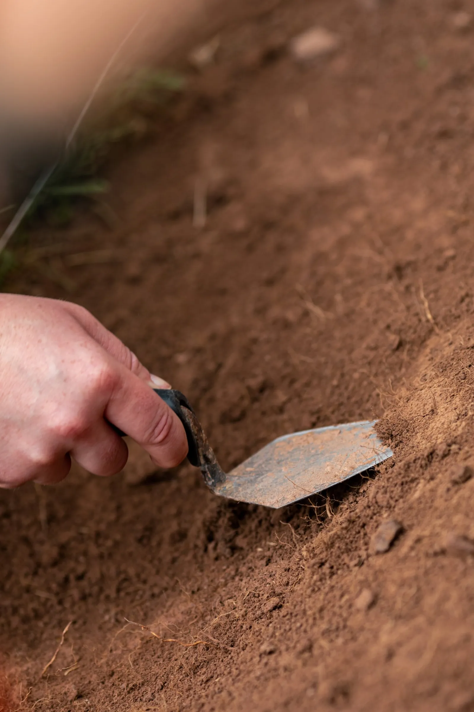 digging with a trowel