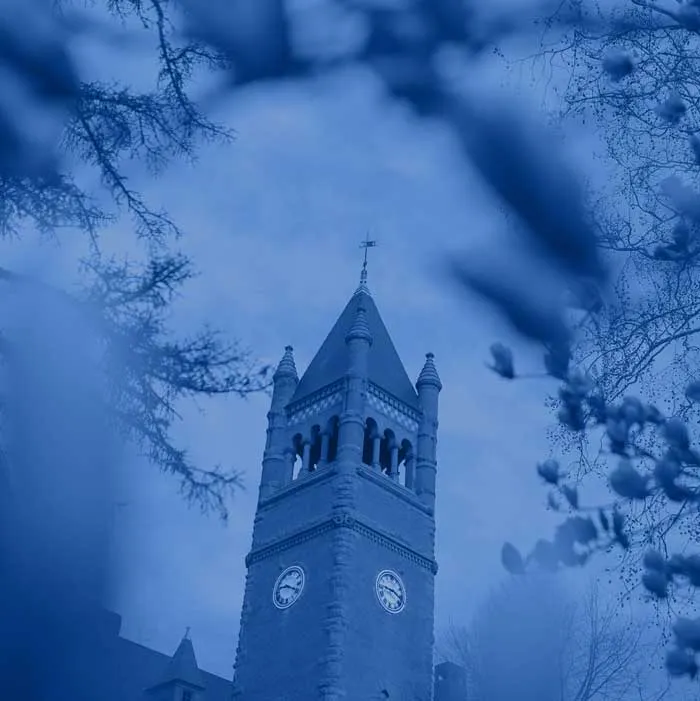 Decorative Glat blue