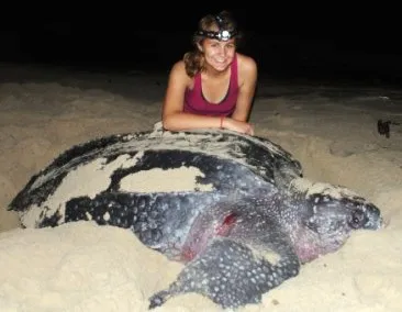 student with giant sea turtle