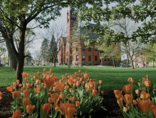 Orange tulips bloom on the college lawn in front of Glatfelter Hall