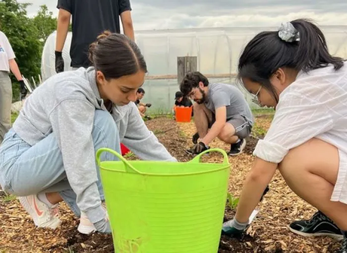 A group of students work at the Painted Turtle Farm.