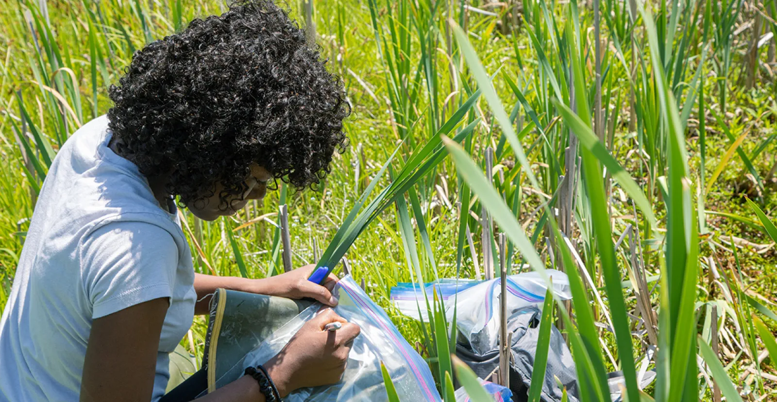 A female student collects lab materials outdoors